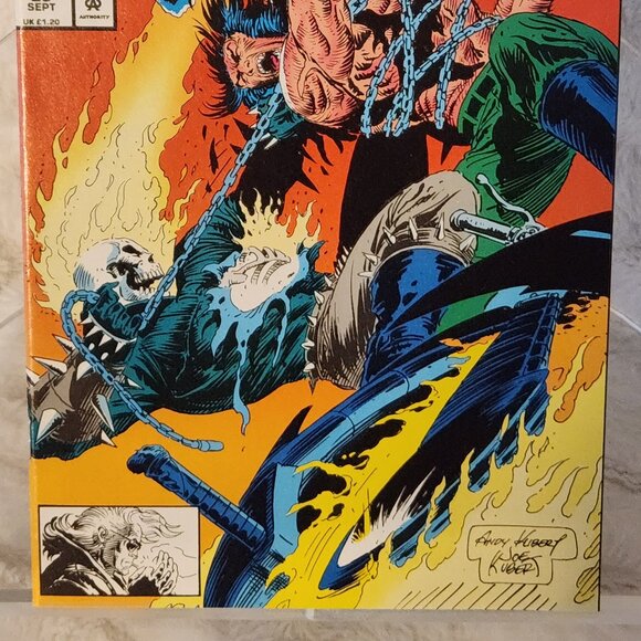 Ghost Rider #29 (1991) Marvel Comics, Andy Kubert & Joe Kubert - Picture 2 of 14
